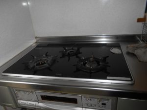 DSCN8130